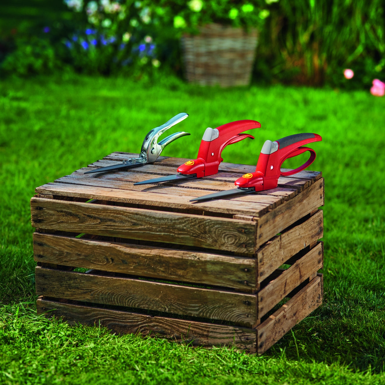 NEW! WOLF-Garten Grass shears to give your lawn contour