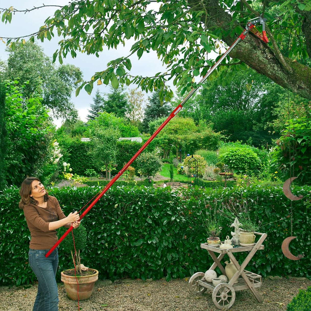 Person using a long-handled tool to trim a tree in a garden setting